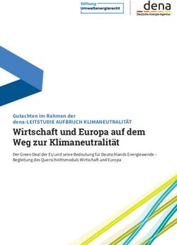 Wirtschaft und Europa auf dem Weg zur Klimaneutralit&auml;t - Gutachten im Rahmen der dena-LEITSTUDIE AUFBRUCH KLIMANEUTRALIT&Auml;T