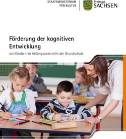 Förderung der kognitiven Entwicklung - von Kindern im Anfangsunterricht der Grundschule - Publikationen ...