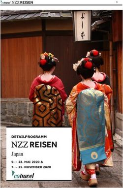 Japan DETAILPROGRAMM - NZZ Reisen