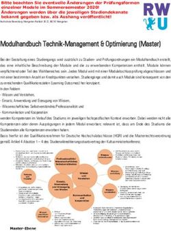Modulhandbuch Technik-Management & Optimierung (Master)