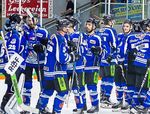 DIE STRAUBING TIGERS in der DEL-Saison 2017/2018 - idowa