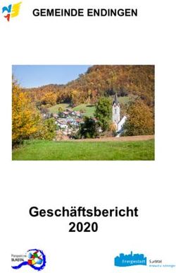 Gesch&auml;ftsbericht 2020 - GEMEINDE ENDINGEN