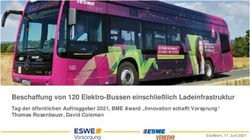 Beschaffung von 120 Elektro-Bussen einschlie&szlig;lich Ladeinfrastruktur - Tag der &ouml;ffentlichen Auftraggeber 2021, BME Award "Innovation schafft ...