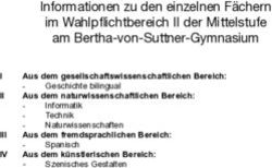 Informationen zu den einzelnen F&auml;chern im Wahlpflichtbereich II der Mittelstufe am Bertha-von-Suttner-Gymnasium