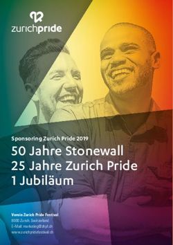 50 Jahre Stonewall 25 Jahre Zurich Pride 1 Jubil&auml;um - Sponsoring Zurich Pride 2019 - Zurich Pride Festival