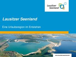Lausitzer Seenland Eine Urlaubsregion im Entstehen - Stadt Drebkau