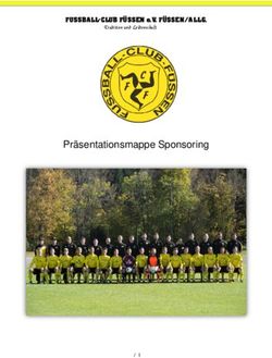 Präsentationsmappe Sponsoring - FUSSBALL-CLUB FÜSSEN e.V. FÜSSEN/ALLG 1 - FC Füssen