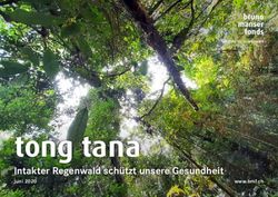 Tong tana Intakter Regenwald sch&uuml;tzt unsere Gesundheit - www.bmf.ch - Bruno ...