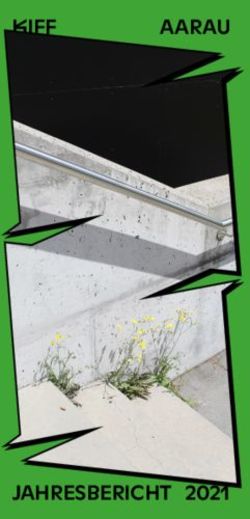 KIFF AARAU - JAHRES BERICHT 2021