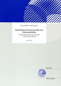 Betrieblicher Strukturwandel und Elektromobilit&auml;t - Heinz Pf&auml;fflin Willi Ruppert Handlungsbedarfe f&uuml;r Betriebsr&auml;te in der Zulieferindustrie