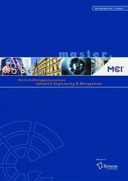 Wirtschaftsingenieurwesen - MCI