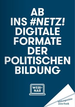 AB INS #NETZ! DIGITALE FORMATE DER POLITISCHEN BILDUNG