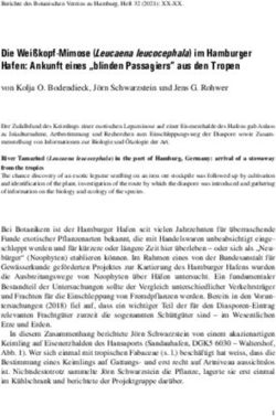 Die Wei&szlig;kopf-Mimose (Leucaena leucocephala) im Hamburger Hafen: Ankunft eines "blinden Passagiers" aus den Tropen