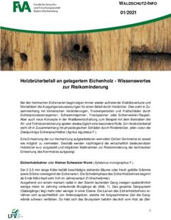 WALDSCHUTZ-INFO 01/2021 - Waldwissen.net