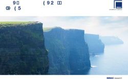 DER PFLEGEMARKT IRLAND - IMMAC Holding AG