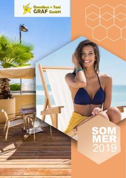 SOM MER 2019 - Omnibus-Taxi-Graf