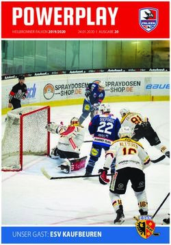 POWERPLAY - Heilbronner Falken