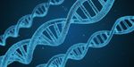 TAGE DES MATHEMATISCHEN UND NATURWISSENSCHAFTLICHEN UNTERRICHTS- 23. M&Auml;RZ 2023 THILLM: 247800101