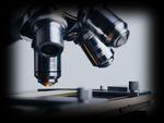 TAGE DES MATHEMATISCHEN UND NATURWISSENSCHAFTLICHEN UNTERRICHTS- 23. M&Auml;RZ 2023 THILLM: 247800101