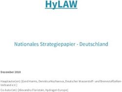 HYLAW NATIONALES STRATEGIEPAPIER - DEUTSCHLAND - DEZEMBER 2018