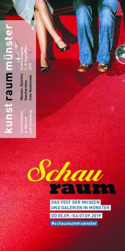 DAS FEST DER MUSEEN UND GALERIEN IN M&Uuml;NSTER DO 05.09.-SA 07.09.2019 - #schauraummuenster - patterson + schade