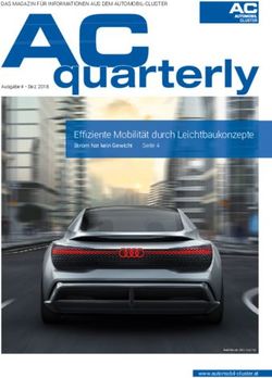 Quarterly Effi ziente Mobilität durch Leichtbaukonzepte - Strom hat kein Gewicht - Automobil Cluster