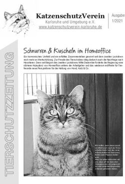 Schnurren & Kuscheln im Homeoffice - KatzenschutzVerein