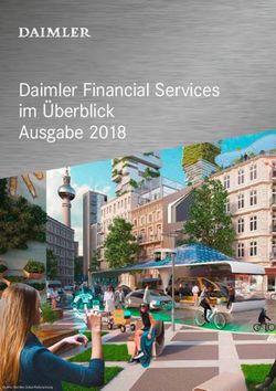 Daimler Financial Services im &Uuml;berblick Ausgabe 2018