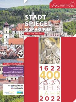 STADT SPIEGEL SIGMARINGEN - Stadt Sigmaringen