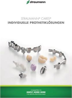 STRAUMANN CARES INDIVIDUELLE PROTHETIKL&Ouml;SUNGEN