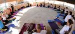 Die Wüste lebt! - Vijnana Yoga Studio