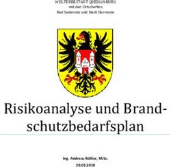 Risikoanalyse und Brand-schutzbedarfsplan - Welterbestadt ...