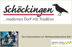 Eine Dokumentation zur Wettbewerbsteilnahme 2021 - Stadt ...