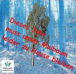 Lockerungen bedeuten keine Entwarnung - Gemeinde ...