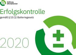 2020 Erfolgskontrolle gem&auml;&szlig; 15 (1) Batteriegesetz - GRS Batterien