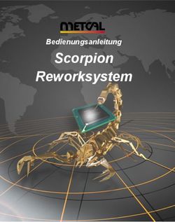Scorpion Bedienungsanleitung - Reworksystem