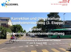 Korrektion und Umgestaltung Hegenheimermattweg (3. Etappe) Kreisel Grabenring/ Hegenheimermattweg - Informationsveranstaltung f&uuml;r Anwohnende und ...