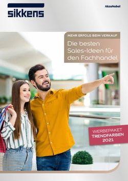 Die besten Sales-Ideen f&uuml;r den Fachhandel - MEHR ERFOLG BEIM VERKAUF - TRENDFARBEN - Sikkens