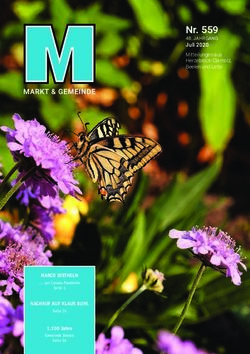 Nr. 559 48. JAHRGANG Juli 2020 Mitteilungen aus Herzebrock-Clarholz, Beelen und Lette - GEWERBEVEREIN HERZEBROCK-CLARHOLZ