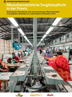 Menschenrechtliche Sorgfaltspflicht in der Praxis - UNTERNEHMENSBEFRAGUNG Wie kommen Unternehmen ihrer Verantwortung für Menschenrechte in der ...