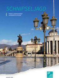 SCHNIPSELJAGD FREIWILLIGENRUNDBRIEF JAHRGANG 2019/2020 - AUGUST 2020 - pax ...