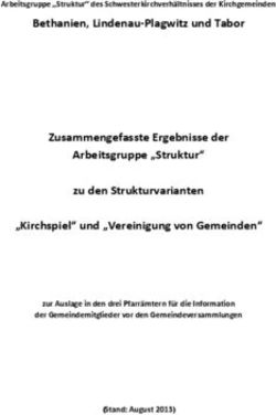 Bethanien, Lindenau-Plagwitz und Tabor Zusammengefasste Ergebnisse der Arbeitsgruppe "Struktur" zu den Strukturvarianten "Kirchspiel" und ...