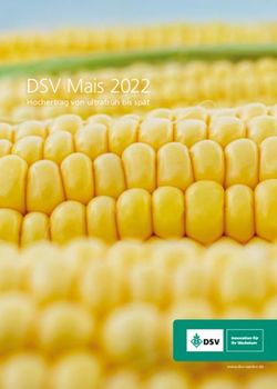 DSV Mais 2022 Hochertrag von ultrafr&uuml;h bis sp&auml;t