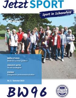 WWW.BW96.DE - BW96 STUDIO Bleibt im Sommer ge&ouml;ffnet FREIZEIT AKTIV - Blau-Wei&szlig; 96 Schenefeld eV