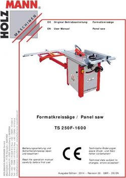 Formatkreissäge / Panel saw - TS 250F-1600