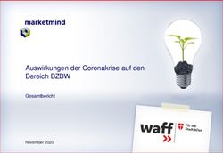 Auswirkungen der Coronakrise auf den Bereich BZBW - Gesamtbericht November 2020 - WAFF