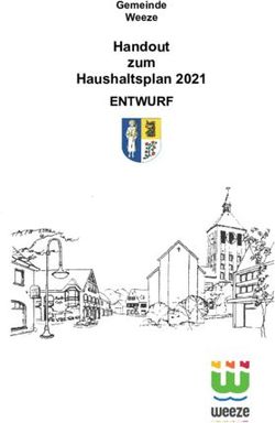 Handout zum Haushaltsplan 2021 - ENTWURF Gemeinde Weeze