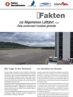Corona-Fakten zur Allgemeinen Luftfahrt - Aero-Club der Schweiz
