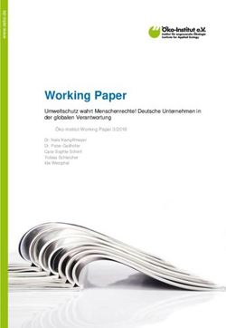 Working Paper Umweltschutz wahrt Menschenrechte! Deutsche Unternehmen in der globalen Verantwortung - &Ouml;ko-Institut