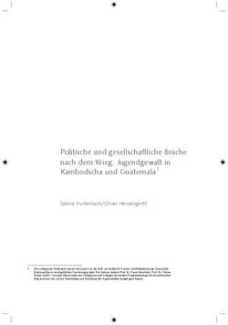 Politische und gesellschaftliche Brüche nach dem Krieg: Jugendgewalt in Kambodscha und Guatemala1
